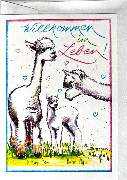 Willkommen im Leben! - Alpaka Geburtstagskarten von Heidemarie Brosien - Alpakawolletraum.com