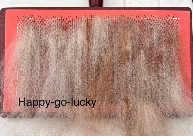 Hochwertige Alpaka Rohwolle von Happy-go-lucky – Appaloosa-Muster, erste Wahl