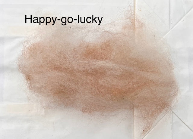 Hochwertige Alpaka Rohwolle von Happy-go-lucky – Appaloosa-Muster, erste Wahl